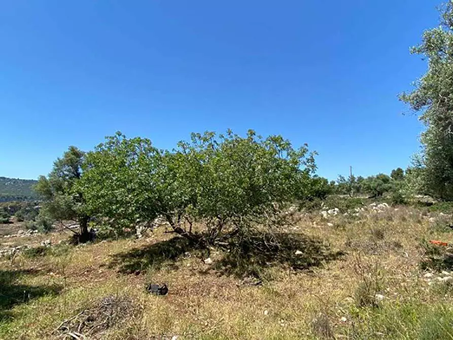 Immagine 2 di Terreno edificabile in vendita  in Contrada Teste Mozze a Noto