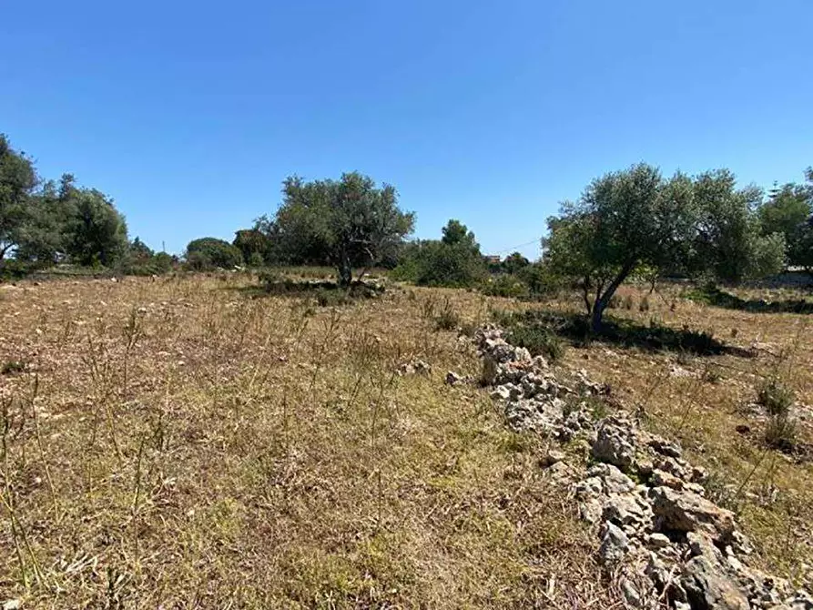 Immagine 4 di Terreno edificabile in vendita  in Contrada Teste Mozze a Noto