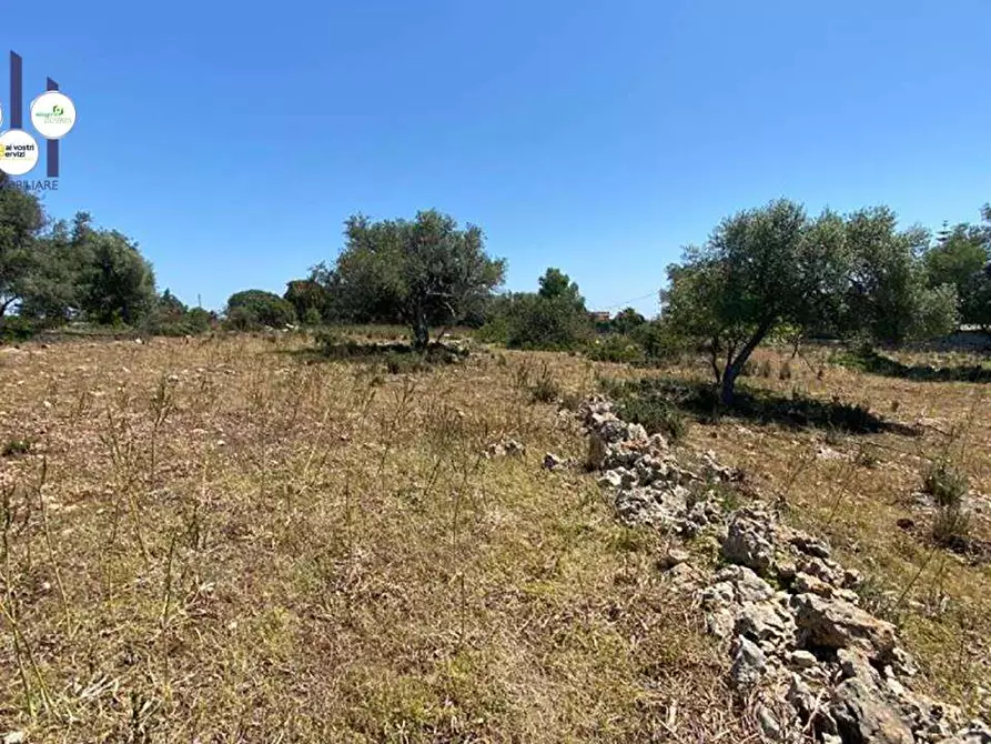 Immagine 4 di Terreno edificabile in vendita  in Contrada Teste Mozze a Noto