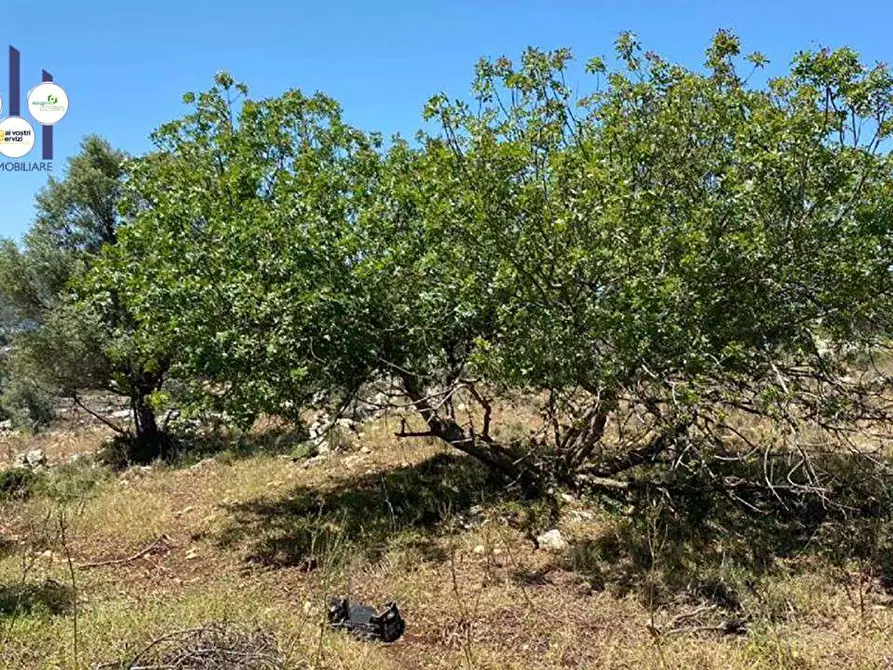 Immagine 6 di Terreno edificabile in vendita  in Contrada Teste Mozze a Noto
