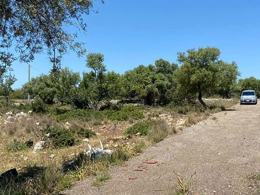 Immagine 7 di Terreno edificabile in vendita  in Contrada Teste Mozze a Noto