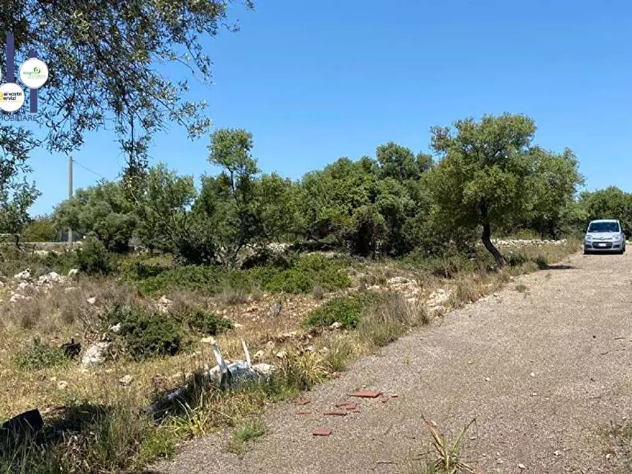 Immagine 7 di Terreno edificabile in vendita  in Contrada Teste Mozze a Noto