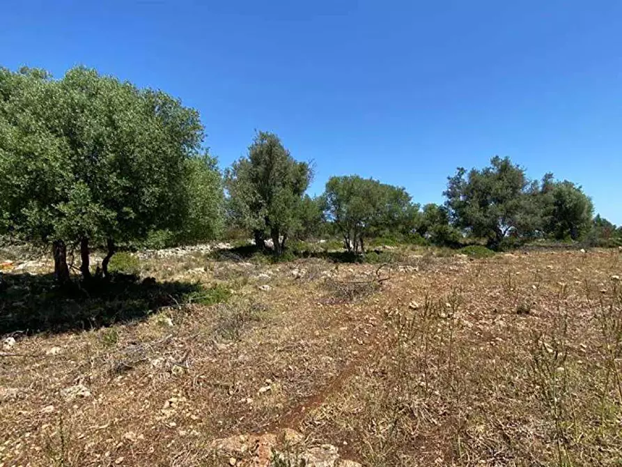 Immagine 8 di Terreno edificabile in vendita  in Contrada Teste Mozze a Noto