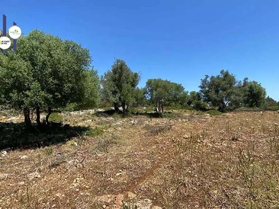 Immagine 8 di Terreno edificabile in vendita  in Contrada Teste Mozze a Noto