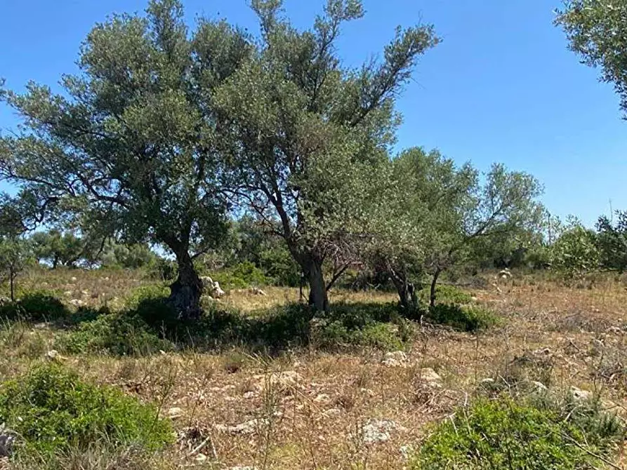 Immagine 9 di Terreno edificabile in vendita  in Contrada Teste Mozze a Noto