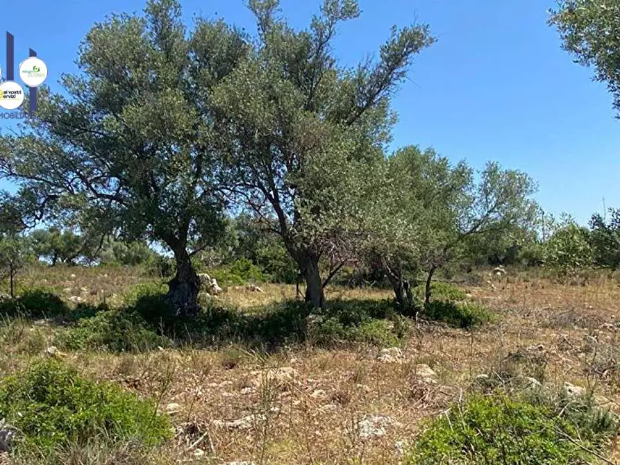Immagine 9 di Terreno edificabile in vendita  in Contrada Teste Mozze a Noto