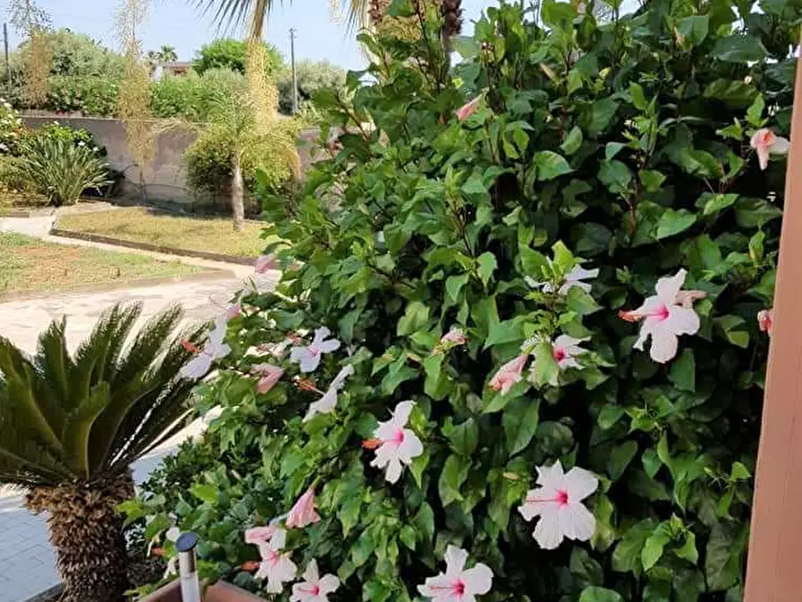 Immagine 2 di Quadrilocale in vendita  in ISOLA a Siracusa