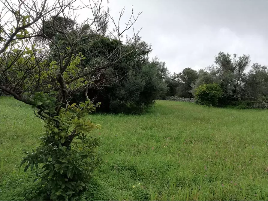 Immagine 7 di Quadrilocale in vendita  in CASSIBILE-CANICATTINI a Siracusa