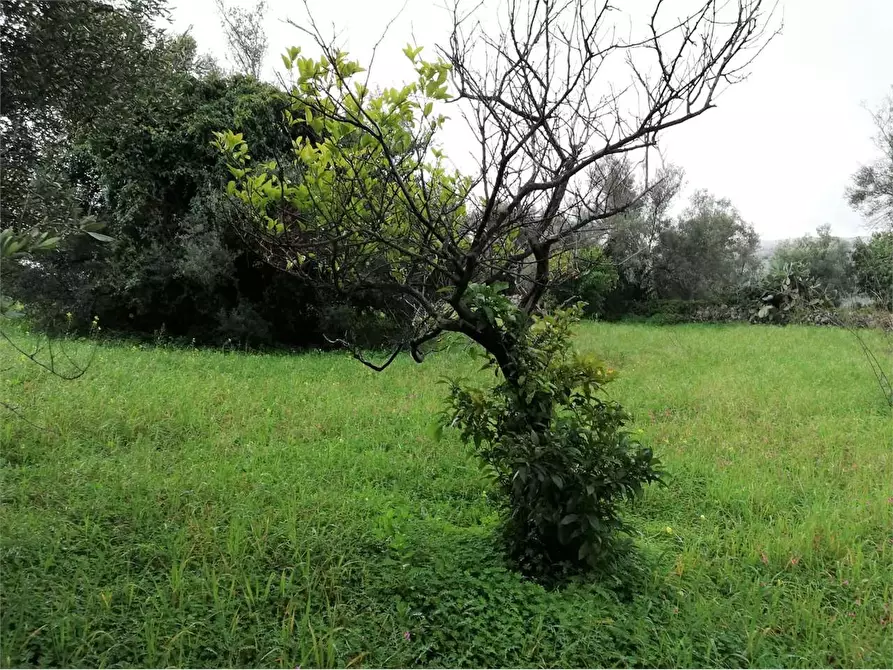 Immagine 9 di Quadrilocale in vendita  in CASSIBILE-CANICATTINI a Siracusa
