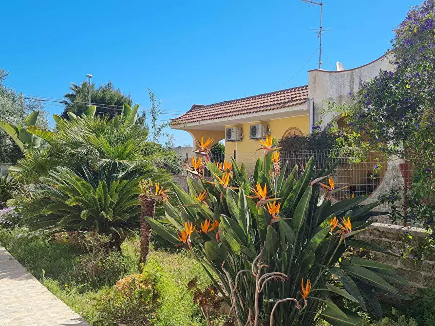 Immagine 4 di Villa in vendita  in ISOLA a Siracusa