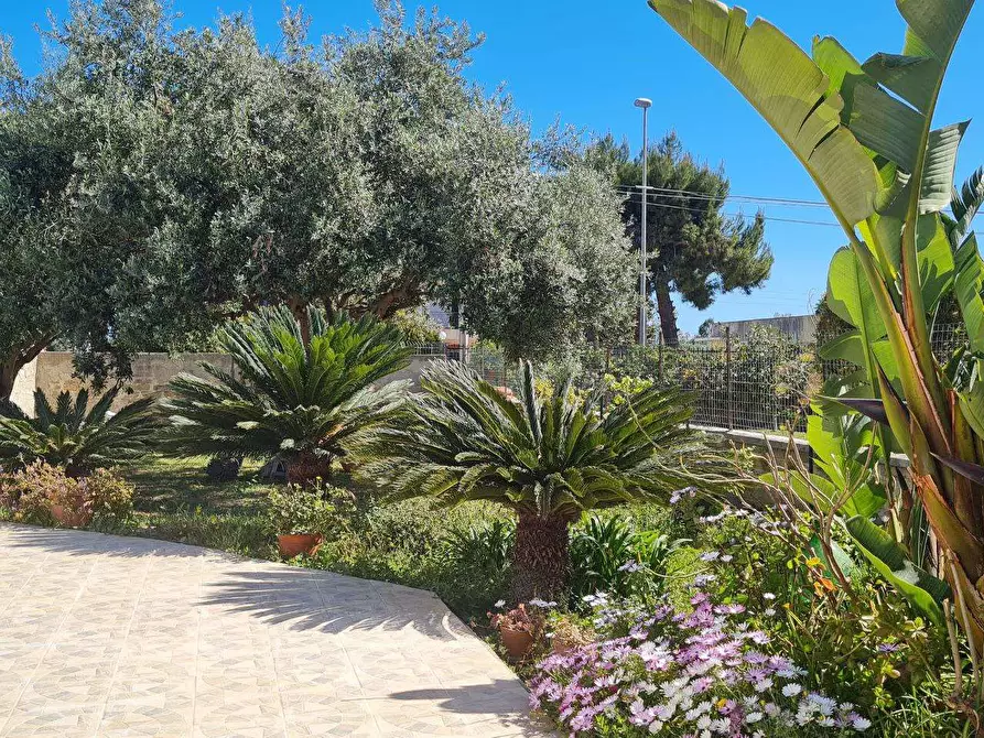 Immagine 5 di Villa in vendita  in ISOLA a Siracusa