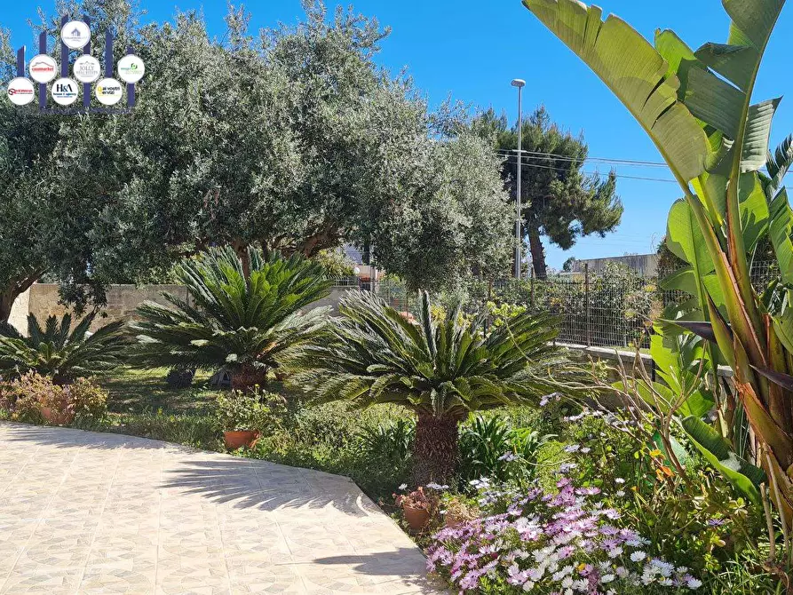 Immagine 5 di Villa in vendita  in ISOLA a Siracusa