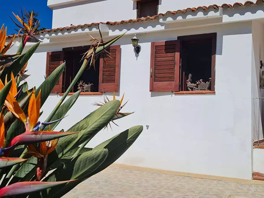 Immagine 6 di Villa in vendita  in ISOLA a Siracusa