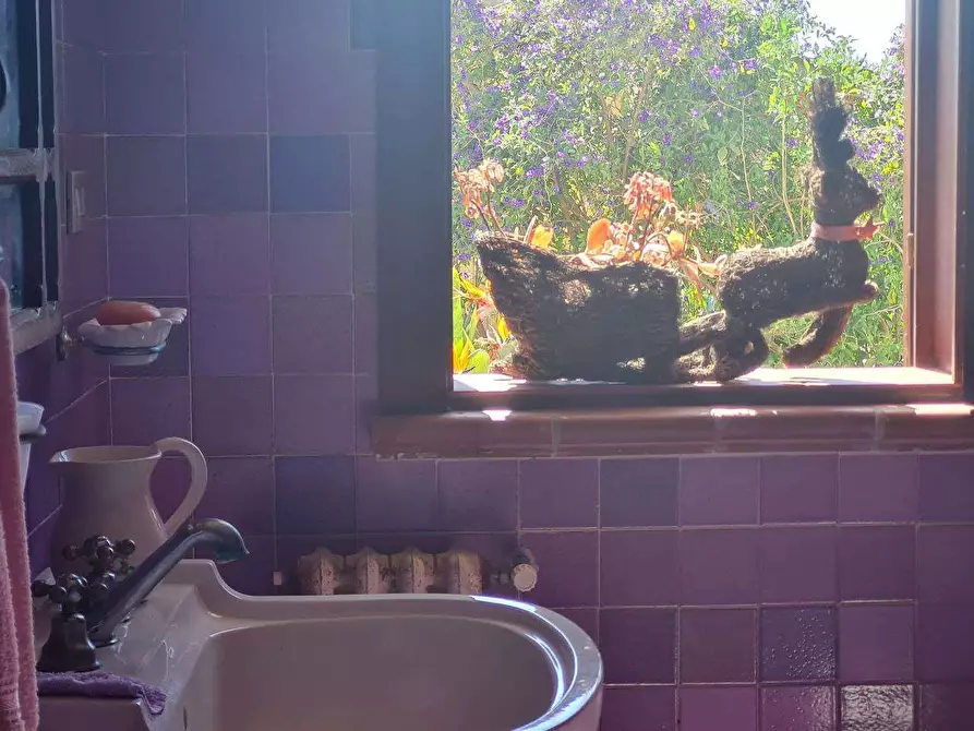 Immagine 13 di Villa in vendita  in ISOLA a Siracusa