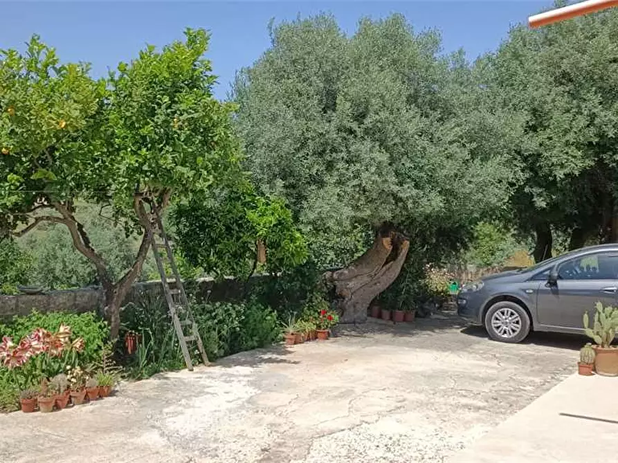 Immagine 14 di Villa in vendita  in C/DA BOSCO DI SOPRA a Canicattini Bagni