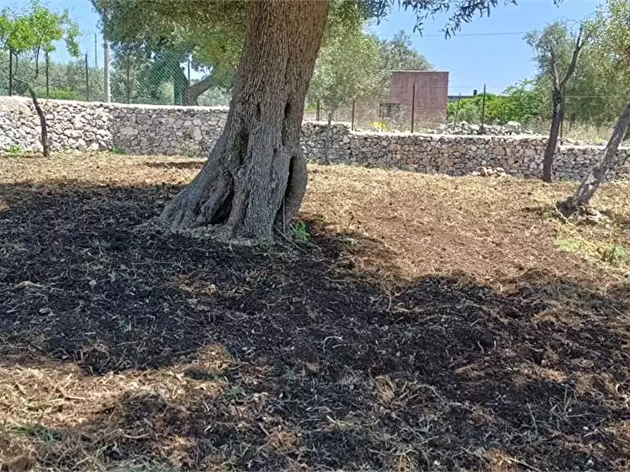 Immagine 29 di Villa in vendita  in C/DA BOSCO DI SOPRA a Canicattini Bagni
