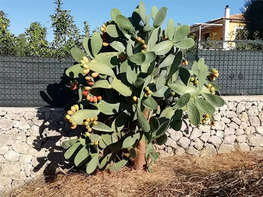 Immagine 27 di Villa in vendita  in C/DA BOSCO DI SOPRA a Canicattini Bagni