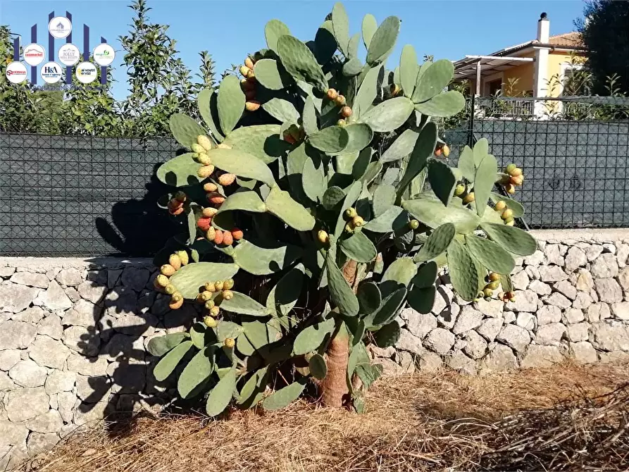 Immagine 27 di Villa in vendita  in C/DA BOSCO DI SOPRA a Canicattini Bagni