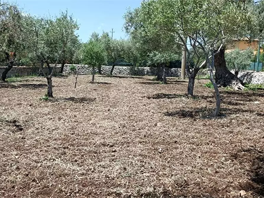 Immagine 28 di Villa in vendita  in C/DA BOSCO DI SOPRA a Canicattini Bagni