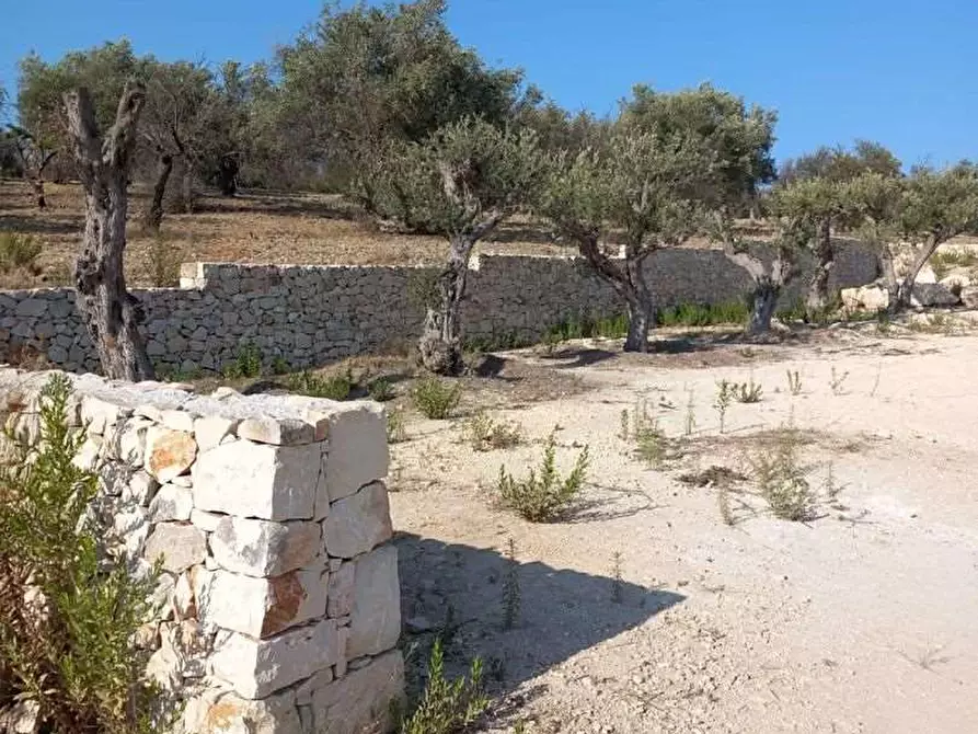 Immagine 2 di Rustico / casale in vendita  in NOTO a Noto