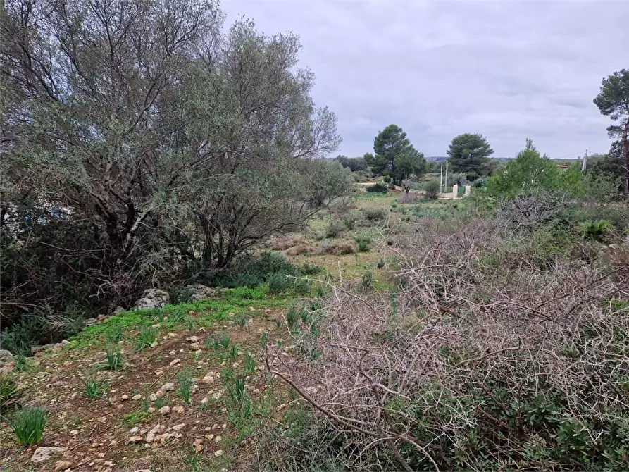 Immagine 3 di Trilocale in vendita  in Cugni Stallaini a Siracusa