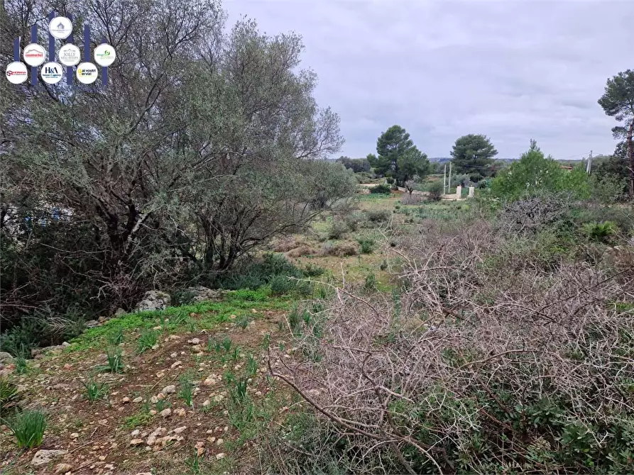 Immagine 3 di Trilocale in vendita  in Cugni Stallaini a Siracusa