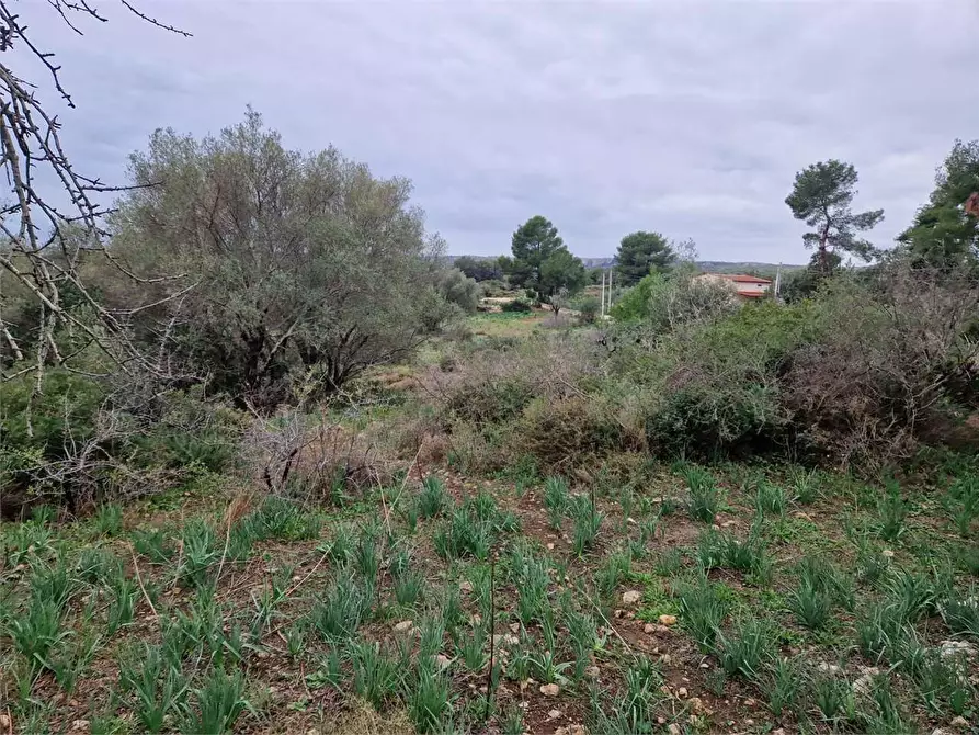 Immagine 4 di Trilocale in vendita  in Cugni Stallaini a Siracusa
