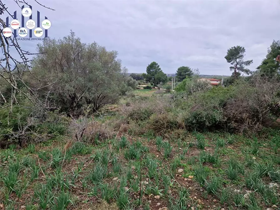 Immagine 4 di Trilocale in vendita  in Cugni Stallaini a Siracusa