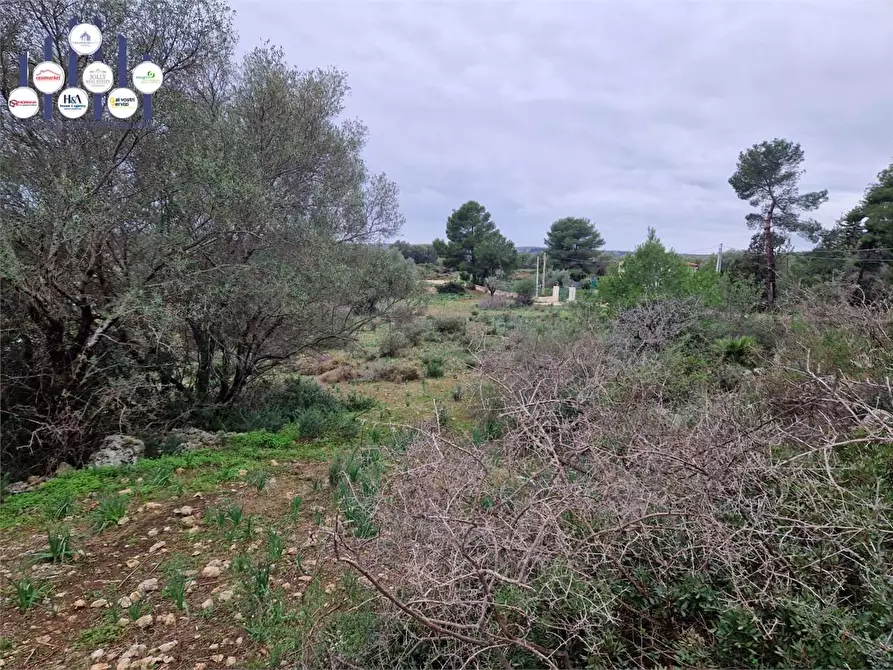 Immagine 7 di Trilocale in vendita  in Cugni Stallaini a Siracusa