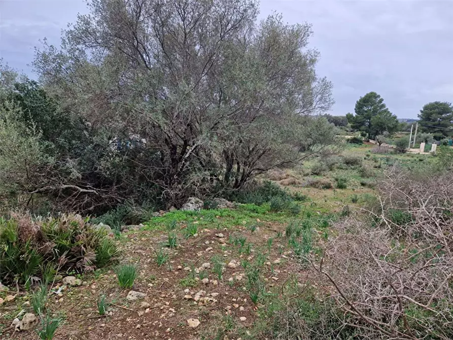Immagine 8 di Trilocale in vendita  in Cugni Stallaini a Siracusa