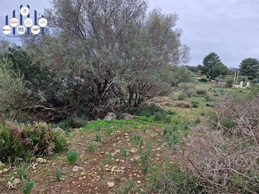 Immagine 8 di Trilocale in vendita  in Cugni Stallaini a Siracusa