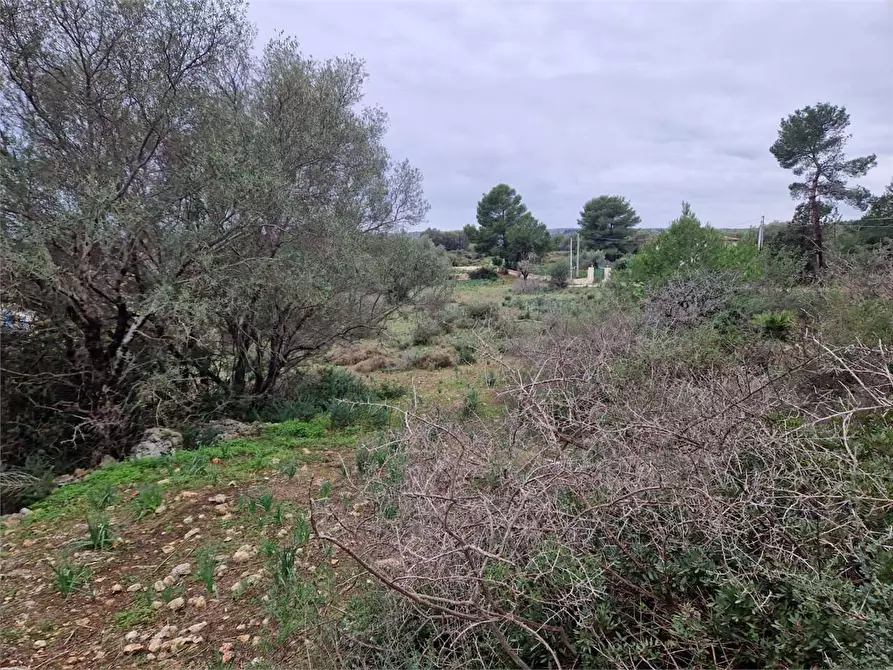 Immagine 12 di Trilocale in vendita  in Cugni Stallaini a Siracusa