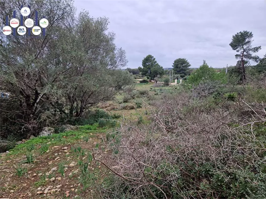 Immagine 12 di Trilocale in vendita  in Cugni Stallaini a Siracusa