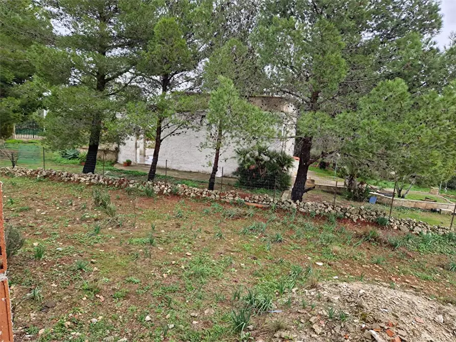 Immagine 24 di Trilocale in vendita  in Cugni Stallaini a Siracusa