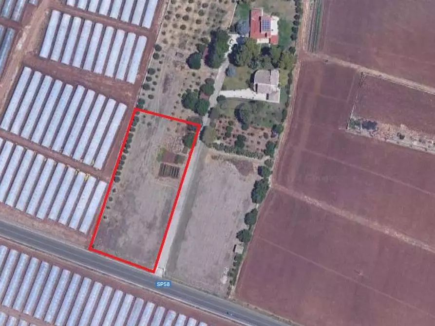 Immagine 2 di Terreno agricolo in vendita  in STRADA BADIA a Siracusa