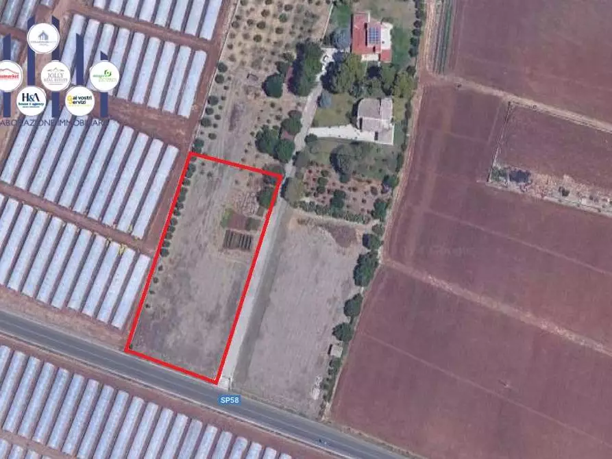 Immagine 2 di Terreno agricolo in vendita  in STRADA BADIA a Siracusa