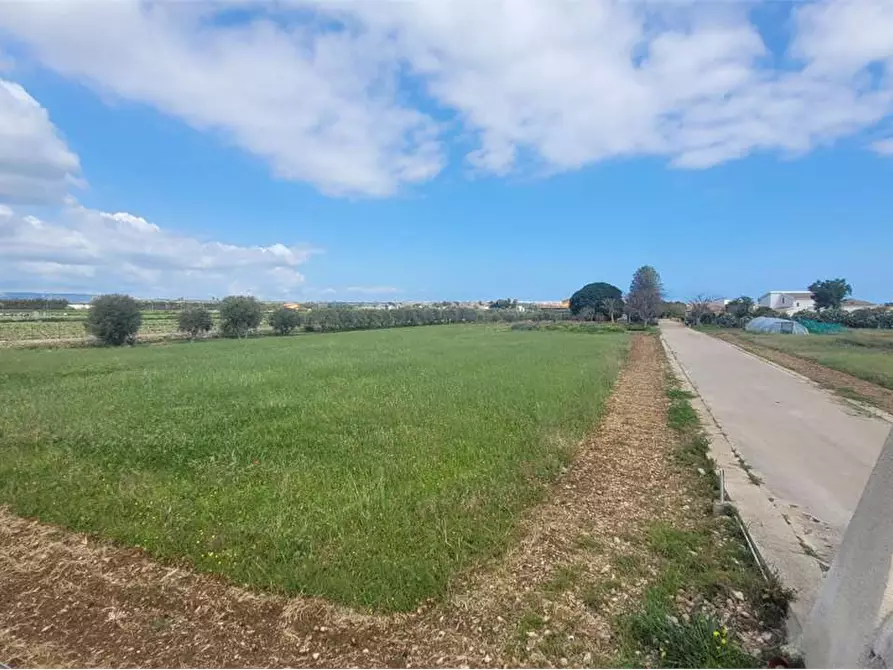 Immagine 3 di Terreno agricolo in vendita  in STRADA BADIA a Siracusa