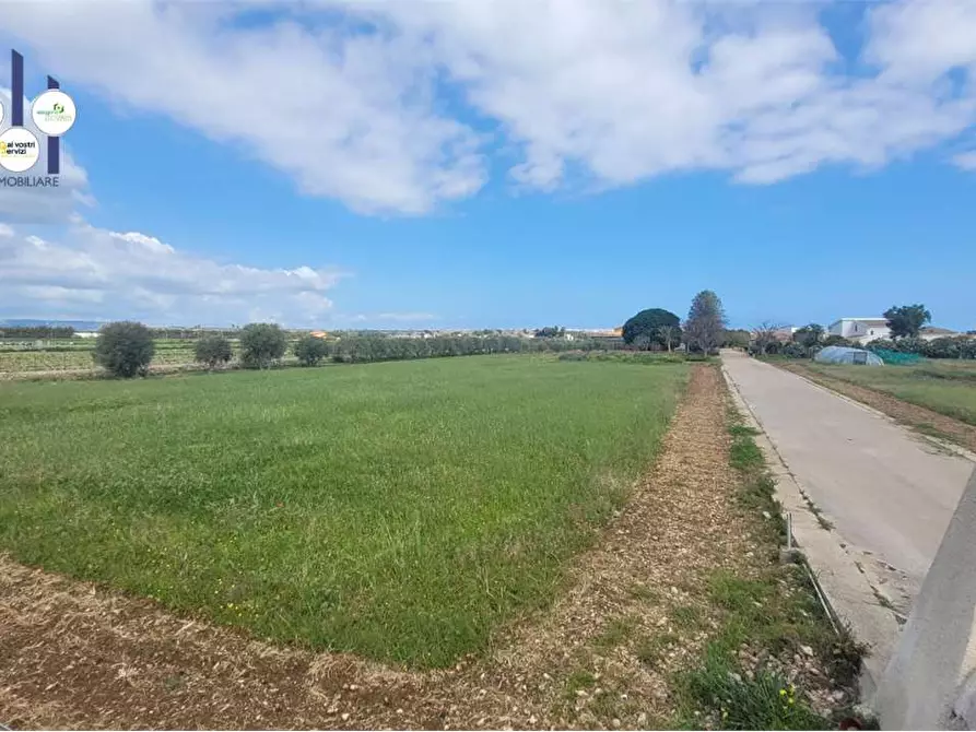 Immagine 3 di Terreno agricolo in vendita  in STRADA BADIA a Siracusa