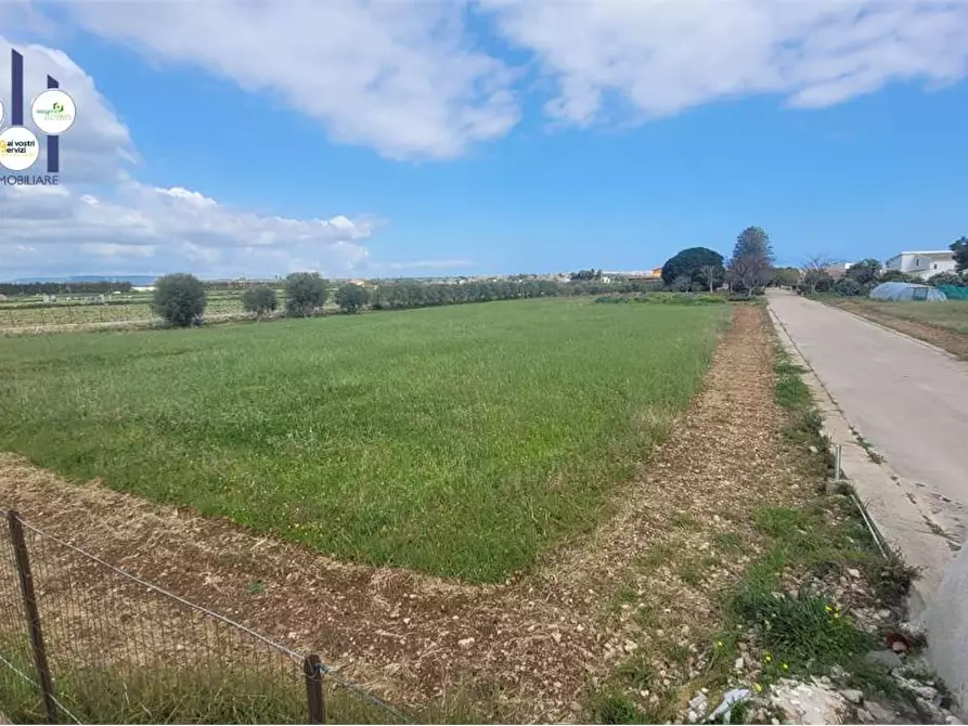 Immagine 4 di Terreno agricolo in vendita  in STRADA BADIA a Siracusa