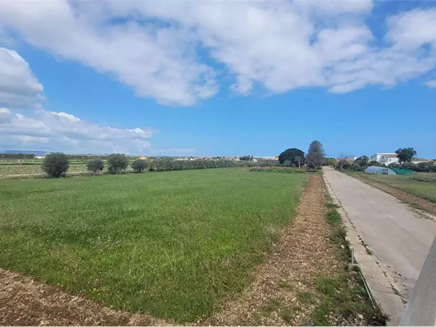 Immagine 5 di Terreno agricolo in vendita  in STRADA BADIA a Siracusa