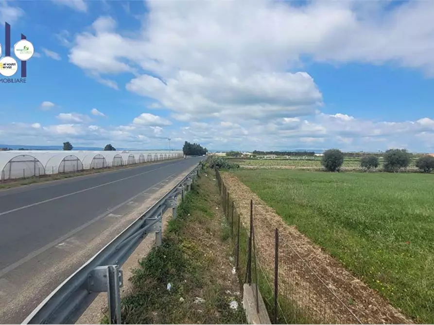 Immagine 6 di Terreno agricolo in vendita  in STRADA BADIA a Siracusa