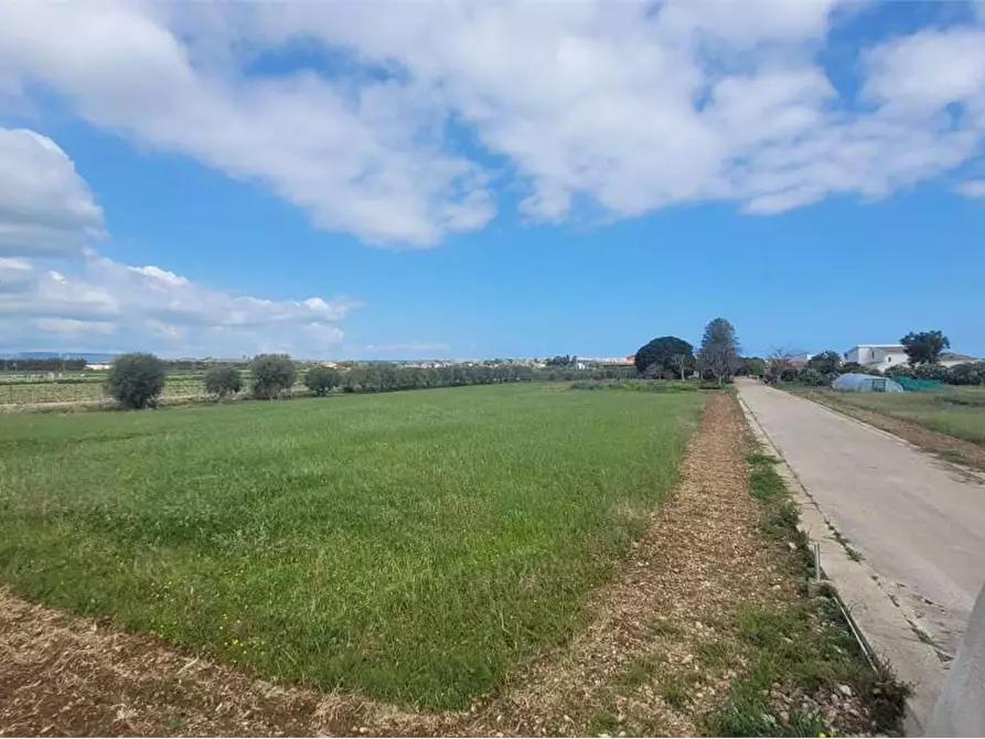Immagine 7 di Terreno agricolo in vendita  in STRADA BADIA a Siracusa