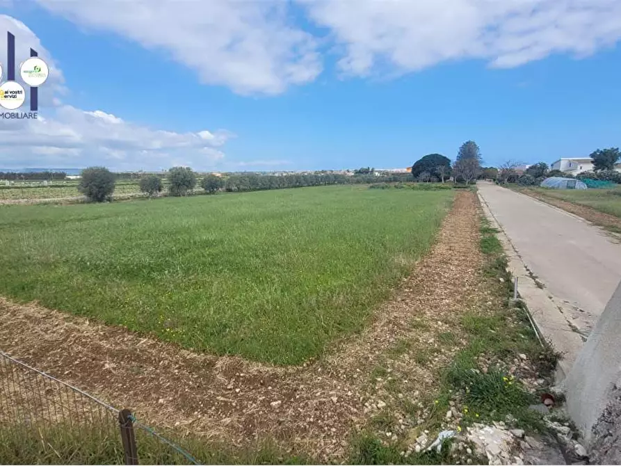 Immagine 8 di Terreno agricolo in vendita  in STRADA BADIA a Siracusa