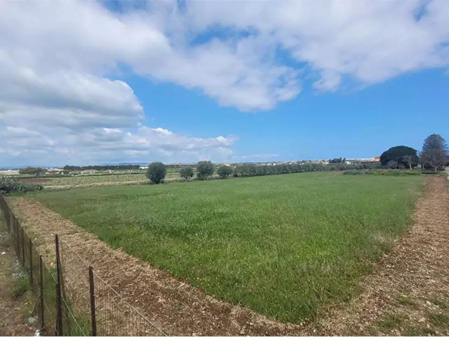 Immagine 9 di Terreno agricolo in vendita  in STRADA BADIA a Siracusa