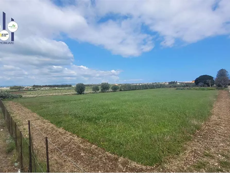 Immagine 9 di Terreno agricolo in vendita  in STRADA BADIA a Siracusa