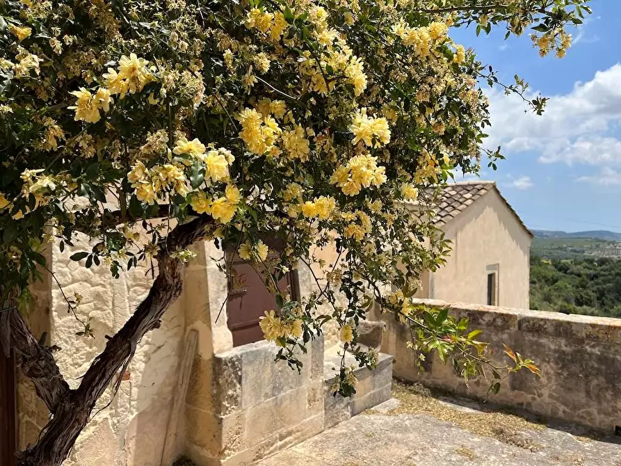 Immagine 24 di Rustico / casale in vendita  a Noto
