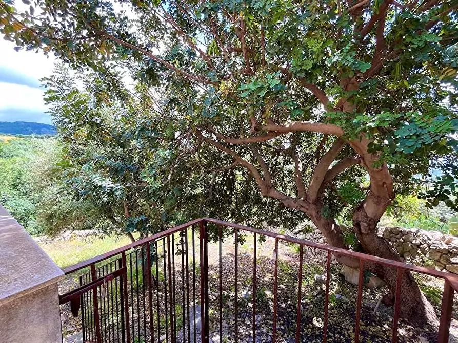 Immagine 54 di Rustico / casale in vendita  a Noto