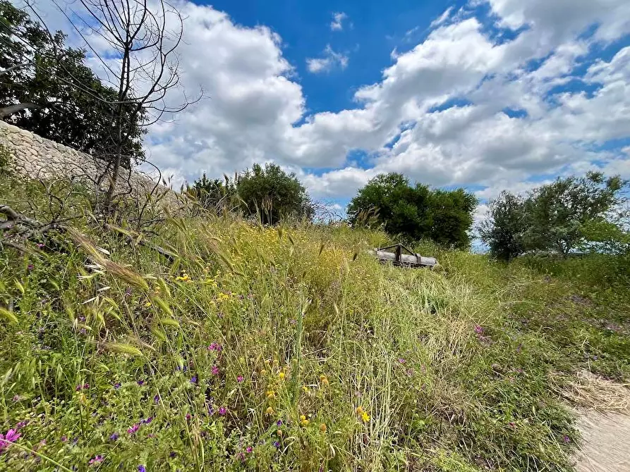 Immagine 60 di Rustico / casale in vendita  a Noto