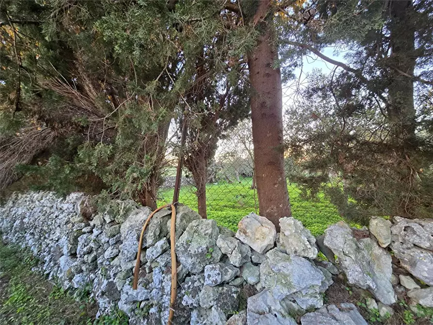 Immagine 14 di Rustico / casale in vendita  in Contrada Porcari a Noto