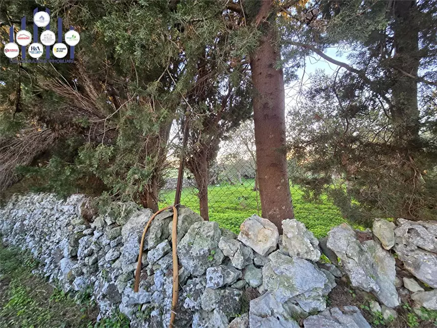 Immagine 14 di Rustico / casale in vendita  in Contrada Porcari a Noto